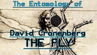 The Entomology of THE FLY  Video Essay [upl. by Monie]