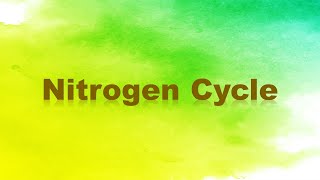 Nitrogen Cycle Nitrogen Fixation Nitrification Assimilation Ammonification and Denitrification [upl. by Norud]