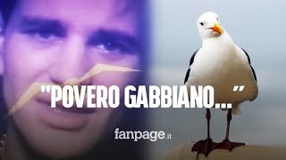 quotPovero gabbiano hai perduto la compagnaquot da dove viene l’audio diventato virale su TikTok [upl. by Waylan]