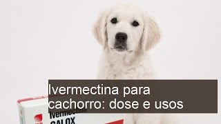 Ivermectina para cachorro  Para que serve e COMO USAR [upl. by Solracsiul944]