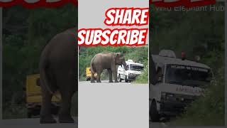 Gajodhr SI sahab Ambulance pakd liye🤣🤣funnyvideosfunnyshorts funnyanimals funnyclips funnymemes [upl. by Heyra]