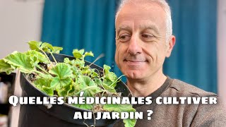 Que planter au jardin  Choix des plantes médicinales [upl. by Marder771]