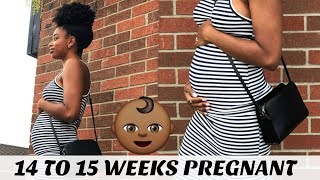 14 WEEKS  15 WEEKS PREGNANCY UPDATE  FEELING THE BABY MOVE [upl. by Mauldon]