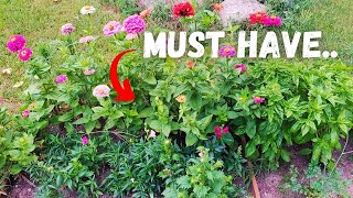 Companion Planting with HERBS  Top 10 MUST Haves [upl. by Jalbert541]