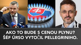 PELLEGRINIHO vytočil šéf ÚRSO Ako to bude s cenou plynu na Slovensku [upl. by Eekcaj296]