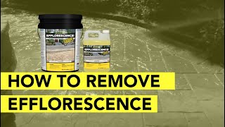 How To Remove Efflorescence From Pavers In 4 Simple Steps [upl. by Selma]