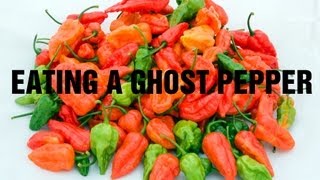 Ghost Pepper Extract [upl. by Narda]