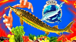 Как приготовить фаршированного осетра  божественно вкусно⛄️ 🎣 Блюдо праздничного стола [upl. by Erek]