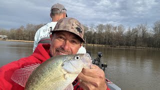 Catching PreSpawn Crappie In The Tombigbee River In Alabama [upl. by Chappelka26]