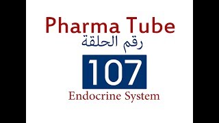 Pharma Tube  107  Endocrine System  6  Adrenocortical Hormones [upl. by Iramo]