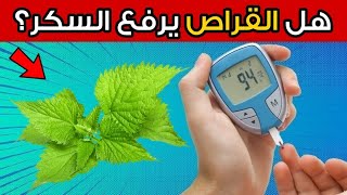 هل القراص مفيد أم مضر لمرضى السكري؟ [upl. by Christen]