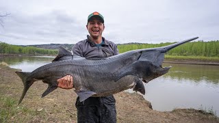 ANYFIN GOES Montana Paddlefish EP 3 [upl. by Donelson]