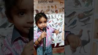 m tota m tota Hindi poem  Dreams Academy learning fun [upl. by Thibaud]