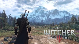 The Witcher 3 Next Gen  Peaceful Walk on Skellige  Music amp Ambience [upl. by Yrannav]