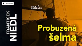 František Niedl  Probuzená šelma  Audiokniha [upl. by Draude682]