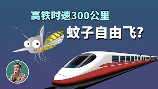 蚊子为什么能在时速300公里的高铁里正常飞？ [upl. by Remlap]