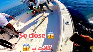 صيد الكنعد في ابوظبي لا يفوتكم الاكشن  king fish in Abu Dhabi [upl. by Amorette]