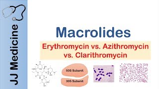 Macrolides Azithromycin Erythromycin  Bacterial Targets Mechanism of Action Adverse Effects [upl. by Adore]