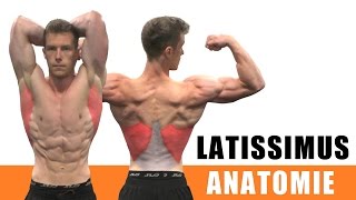 m latissimus dorsi Training Anatomie Dehnung und Übungen [upl. by Remsen]