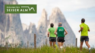 Alpe di Siusi  Seiser Alm Half Marathon [upl. by Dlareg338]