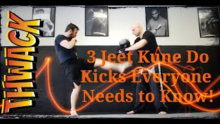 3 Jeet Kune Do Kicks Everyone Needs to Know [upl. by Hendrik]