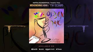 NAFTALI BLUMENTHAL  MISHENICHNAS ADAR  נפתלי בלומנטל  משנכנס אדר PURIM SONG [upl. by Eeuqram680]