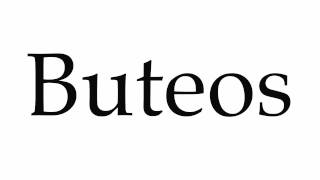 How to Pronounce Buteos [upl. by Ajnos]