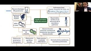 SESION  MANEJO INTENSIVO DEL SINDROME DE ASPIRACION MECONIAL [upl. by Norag]