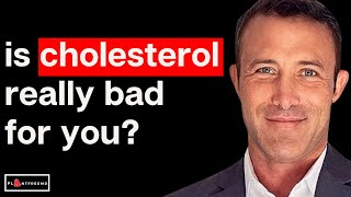 🔴 Why Cholesterol is Actually Good For You [upl. by Neils]