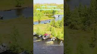 Bog on the Chippewa Flowage [upl. by Lallage]