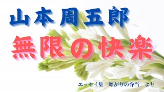 【隠れた名作 朗読】 92 山本周五郎「無限の快楽」 [upl. by Delanie]