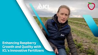 Enhancing Raspberry Growth and Quality with ICLs Innovative Fertilizers [upl. by Nivets]