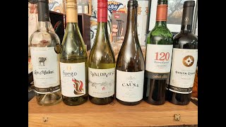 20  Los vinos de Chile [upl. by Martino]