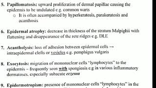 Histopathology 5 👉 papillomatosis amp Atrophy [upl. by Rickart181]