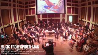 MUSIC FROM SPIDERMAN ELFMANWASSON [upl. by Baoj]