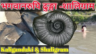 Shaligram Stone Shila  Kali Gandaki River Nepal  The Gandaki River Shaligram Stone Orginal Test [upl. by Lenard]