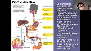 Necesidad de eliminación intestinal y alteraciones [upl. by Clementine]