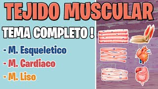 TEJIDO MUSCULAR HISTOLOGIA  MUSCULO ESQUELETICO CARDIACO Y LISO [upl. by Faria]