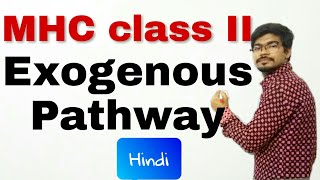 MHC class 2 Exogenous Pathway for antigen processing Hindi [upl. by Jenn]