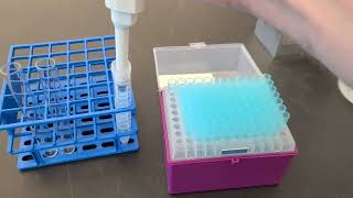 How to Use a Micropipette [upl. by Einobe]