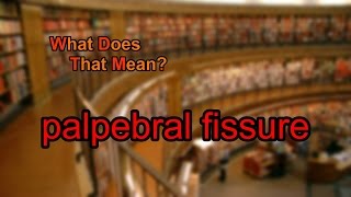 What does palpebral fissure mean [upl. by Thursby]