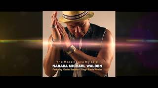 Narada Michael Walden feat Carlos Santana Sting Stevie Wonder quotThe More I Love my Lifequot TEASER [upl. by Ived137]