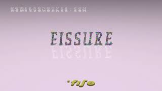 fissure  pronunciation  Examples in sentences and phrases [upl. by Saraiya94]