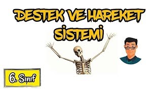 Destek ve Hareket Sistemi  6 Sınıf [upl. by Noni]