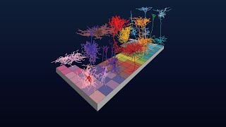 Cell Type Taxonomies A to Z Cross Species Cell Types [upl. by Oilcareh]