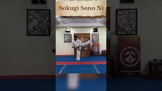 Kyokushin Kata Sokugi Sono Ni  Karate Kata  kyokushin martialarts budo karate power [upl. by Ajidahk]