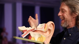 Acoustic reflex anatomy middle ear muscle reflex stapedial reflex [upl. by Saiasi]