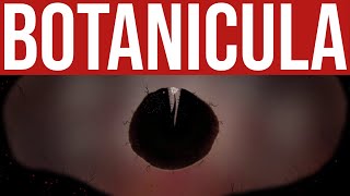 Botanicula  EP 5 Ending  Full Game  Botanicula Gameplay Walkthrough  Amanita Design [upl. by Carissa200]