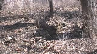 Grist Mill Artifacts amp Rock Foundation on the Olentangy River Delaware OH [upl. by Cuttie]