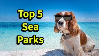 Aquarium Wonder Worlds Top 5 Sea Life Parks [upl. by Prisca]